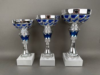 Huvudbild Pokal William