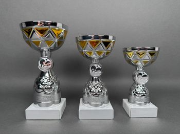 Huvudbild Pokal Fredrik