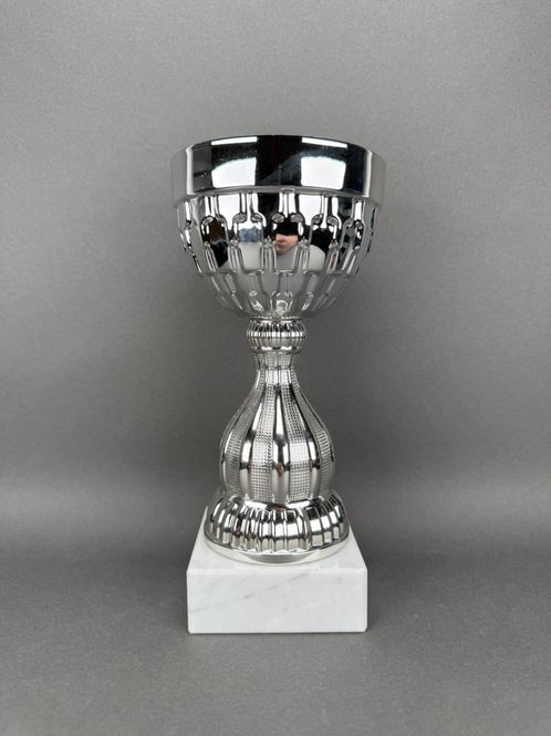 Huvudbild Pokal Bamse, Silver, 210mm, Diameter 100mm
