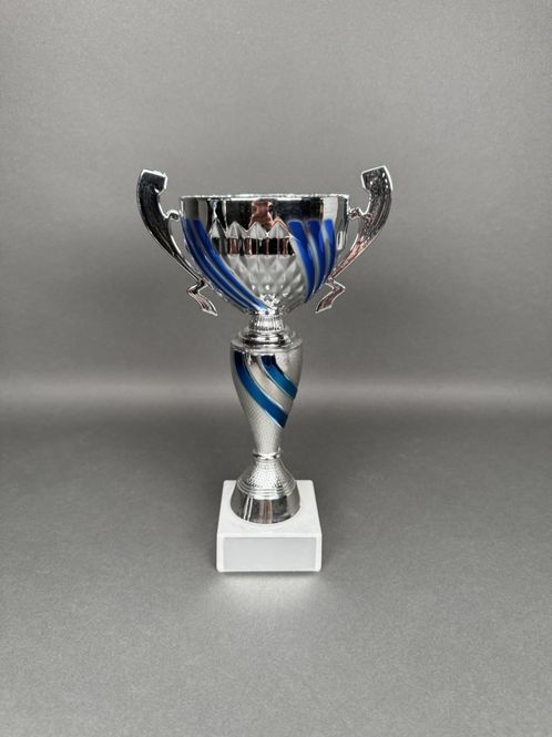 Huvudbild Pokal Jonathan, Silver-Blå, 255mm, Diameter 100mm